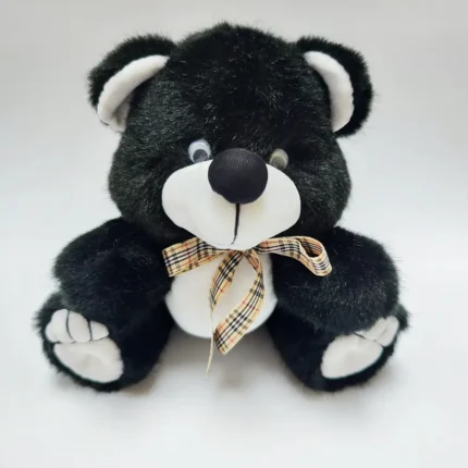 juodas meskiukas su burrbery kaspinu